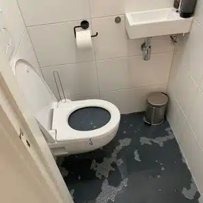 WC ontstoppen